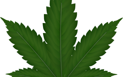 Hoe overleef ik mijn eerste maand zonder wiet?